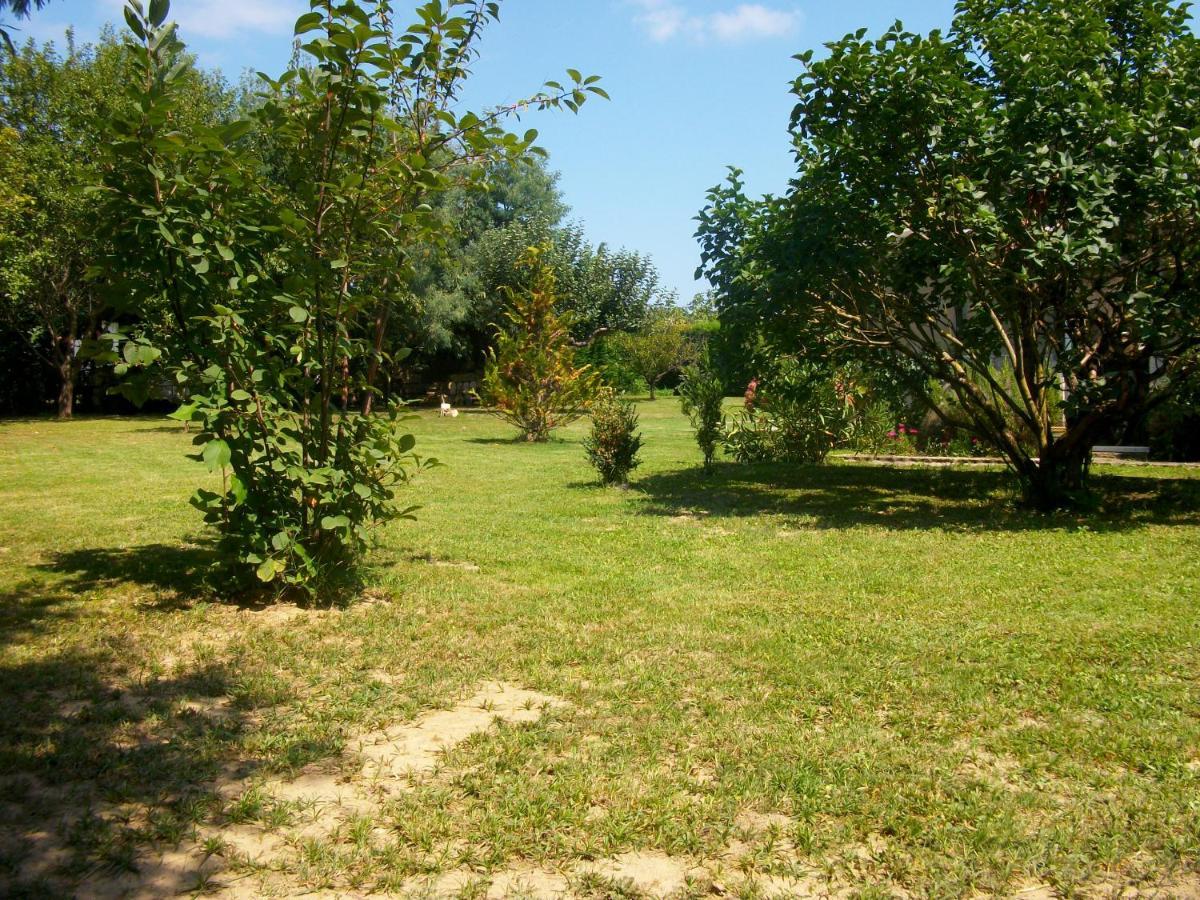 Domaine De Monein Acomodação com café da manhã Saint-André-de-Cubzac Exterior foto