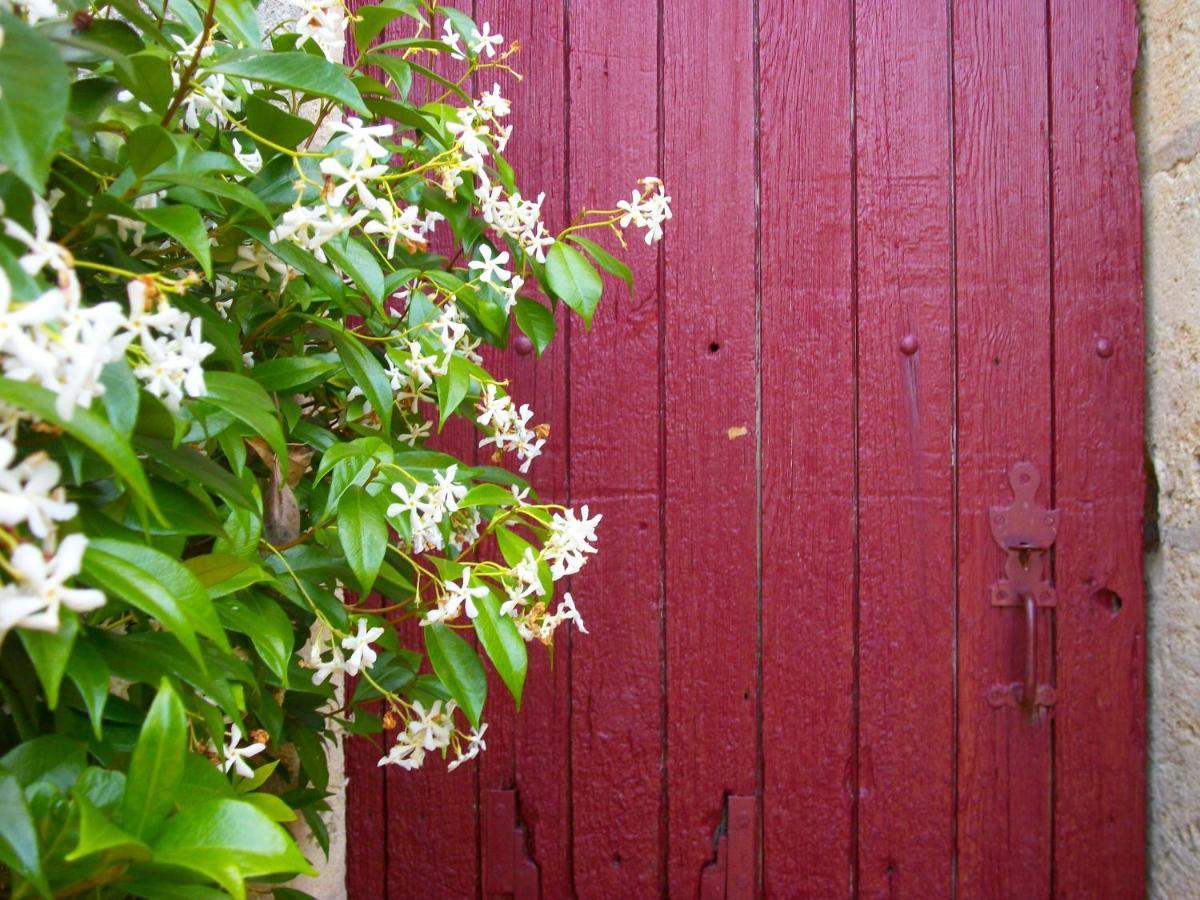 Domaine De Monein Acomodação com café da manhã Saint-André-de-Cubzac Exterior foto