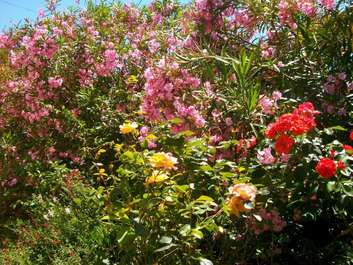Domaine De Monein Acomodação com café da manhã Saint-André-de-Cubzac Exterior foto
