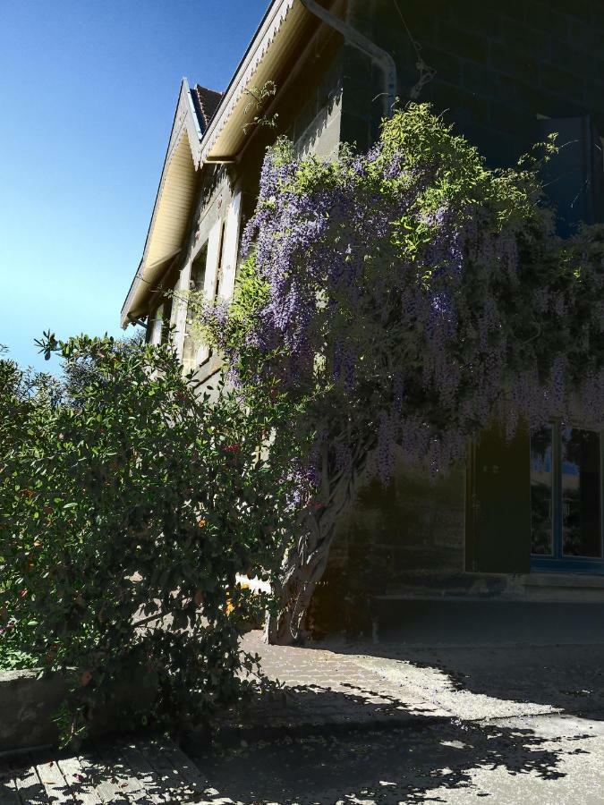 Domaine De Monein Acomodação com café da manhã Saint-André-de-Cubzac Exterior foto